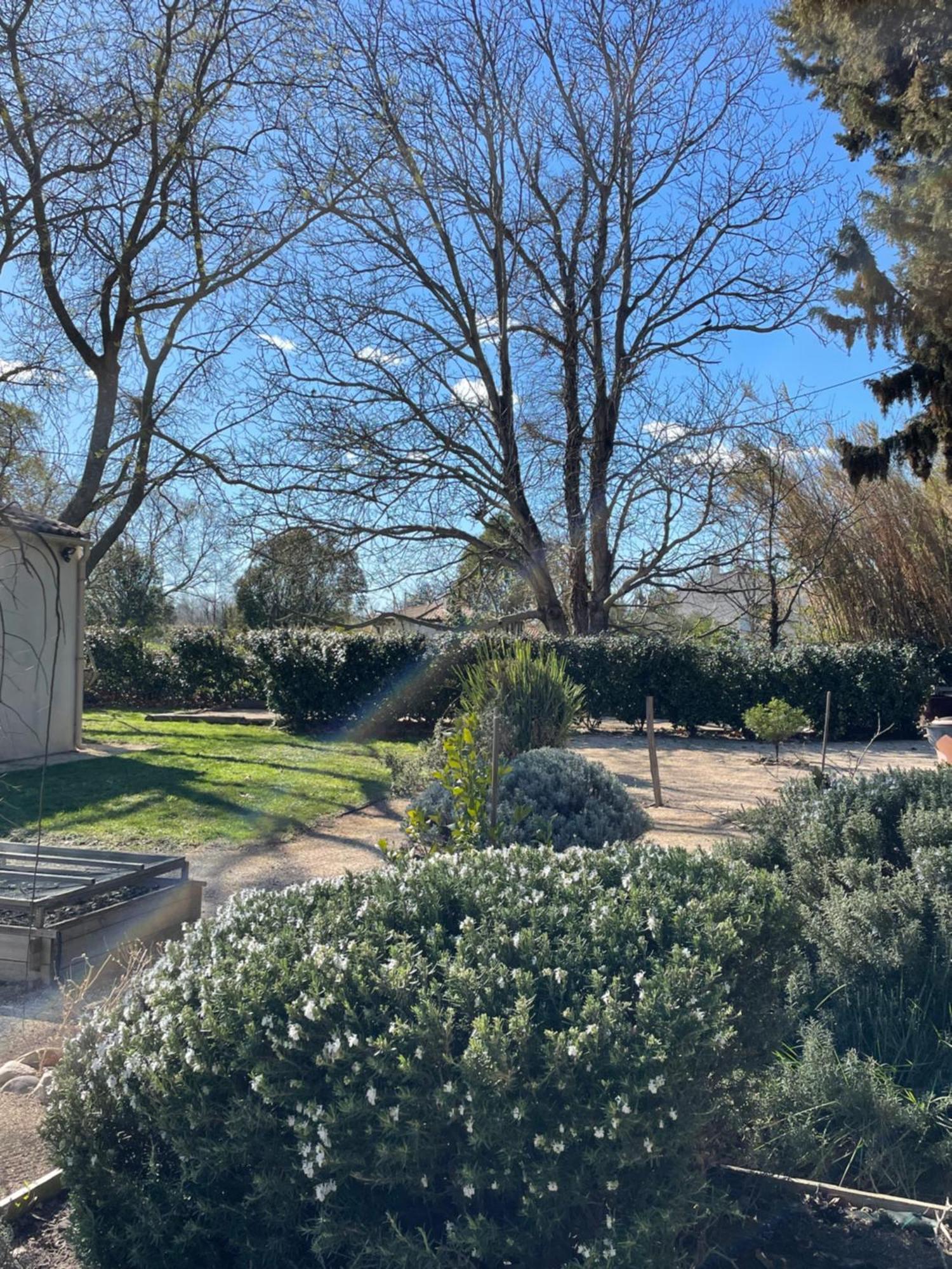 Arles Campagne Location "La Campagn'Arles" Bed and Breakfast Exteriör bild
